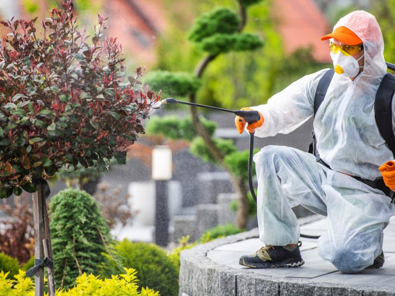 Yeşilova Haşere İlaçlama